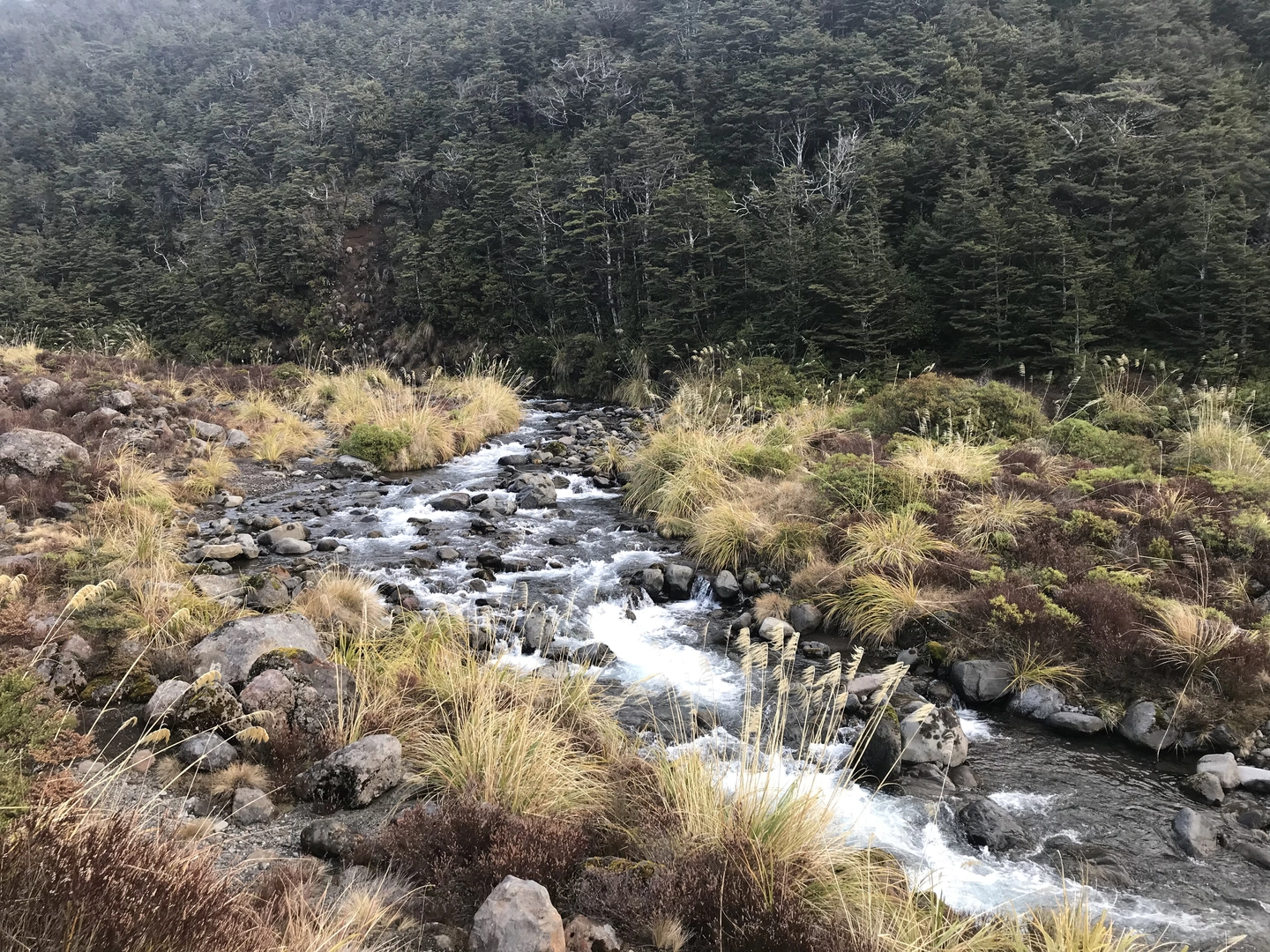 An image depicting the trail Whakapapanui Walk and its surrounding area.