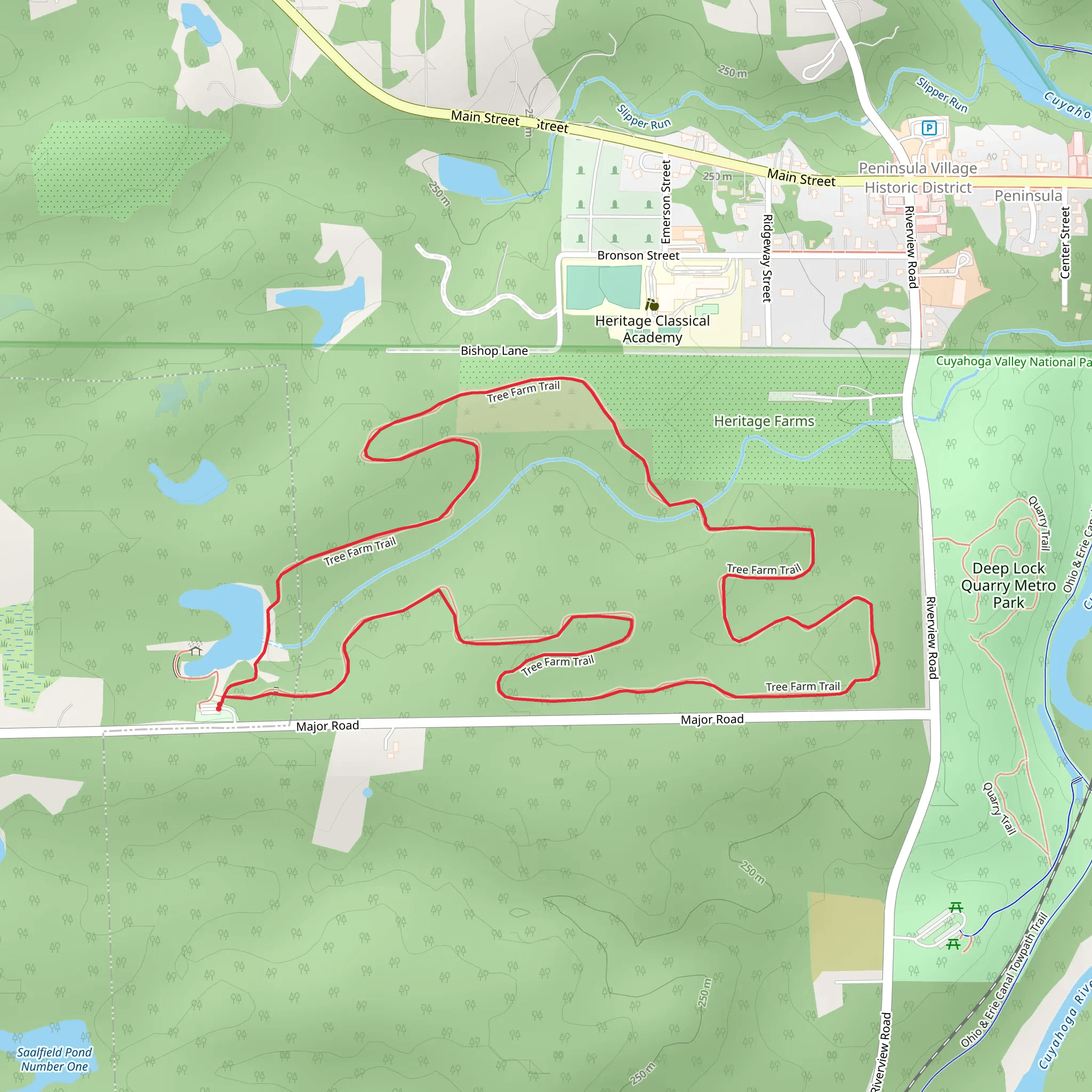 Tree Farm Trail mobile static map