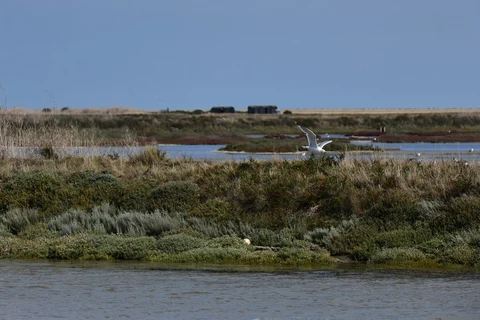 Fort Perch Rock via Magazines Promenade and Wirral Trail