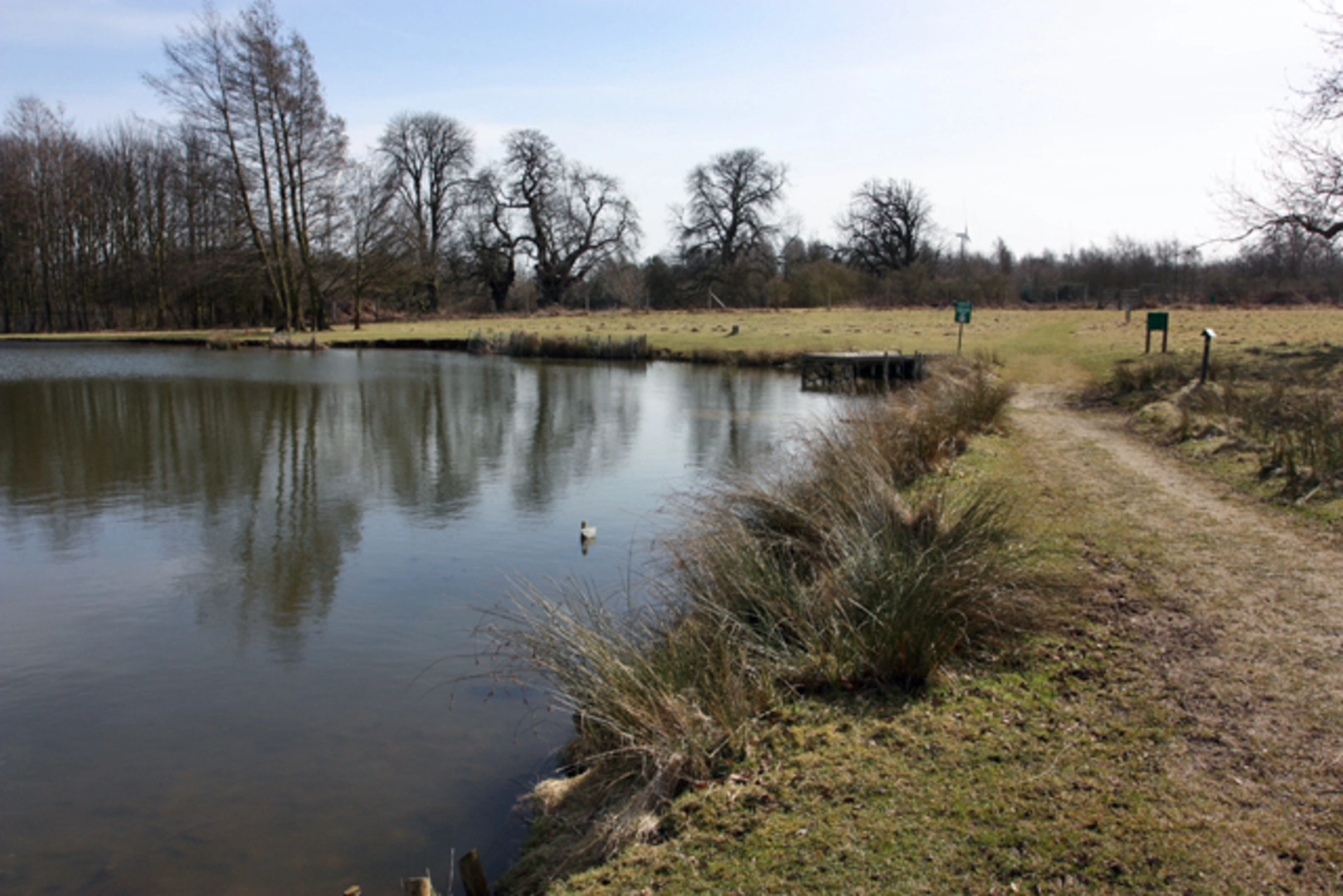 An image depicting the trail Normanby Hall Country Park and its surrounding area.