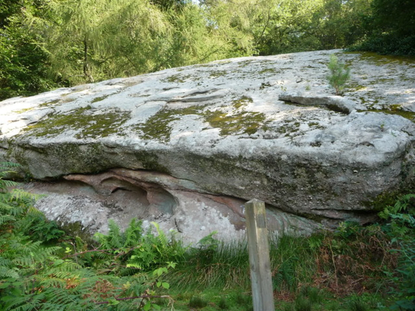 An image depicting the trail Symonds Yat Rock, River Wye, Buck Stone Loop via Highmeadow Woods and its surrounding area.