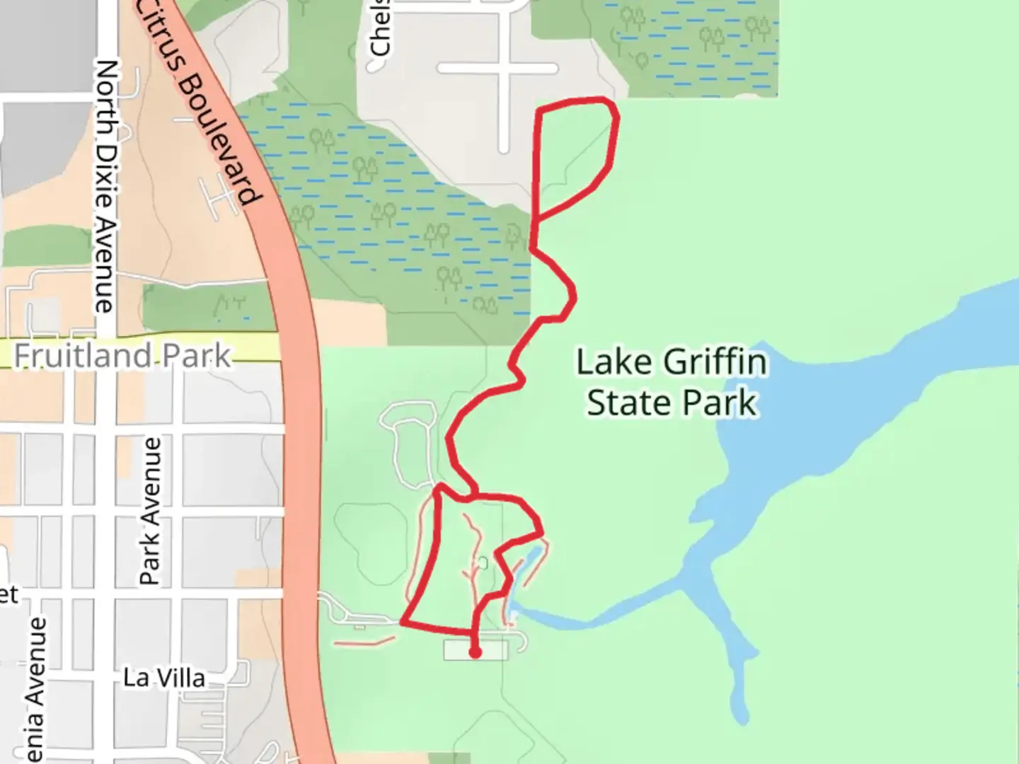 An image depicting the trail Red Loop - Lake Griffin State Park and its surrounding area.