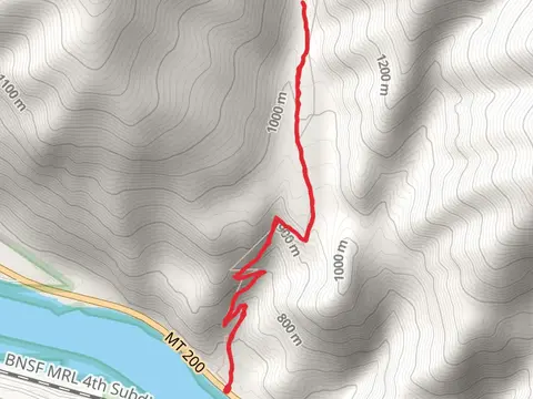 Blacktail Creek Trail