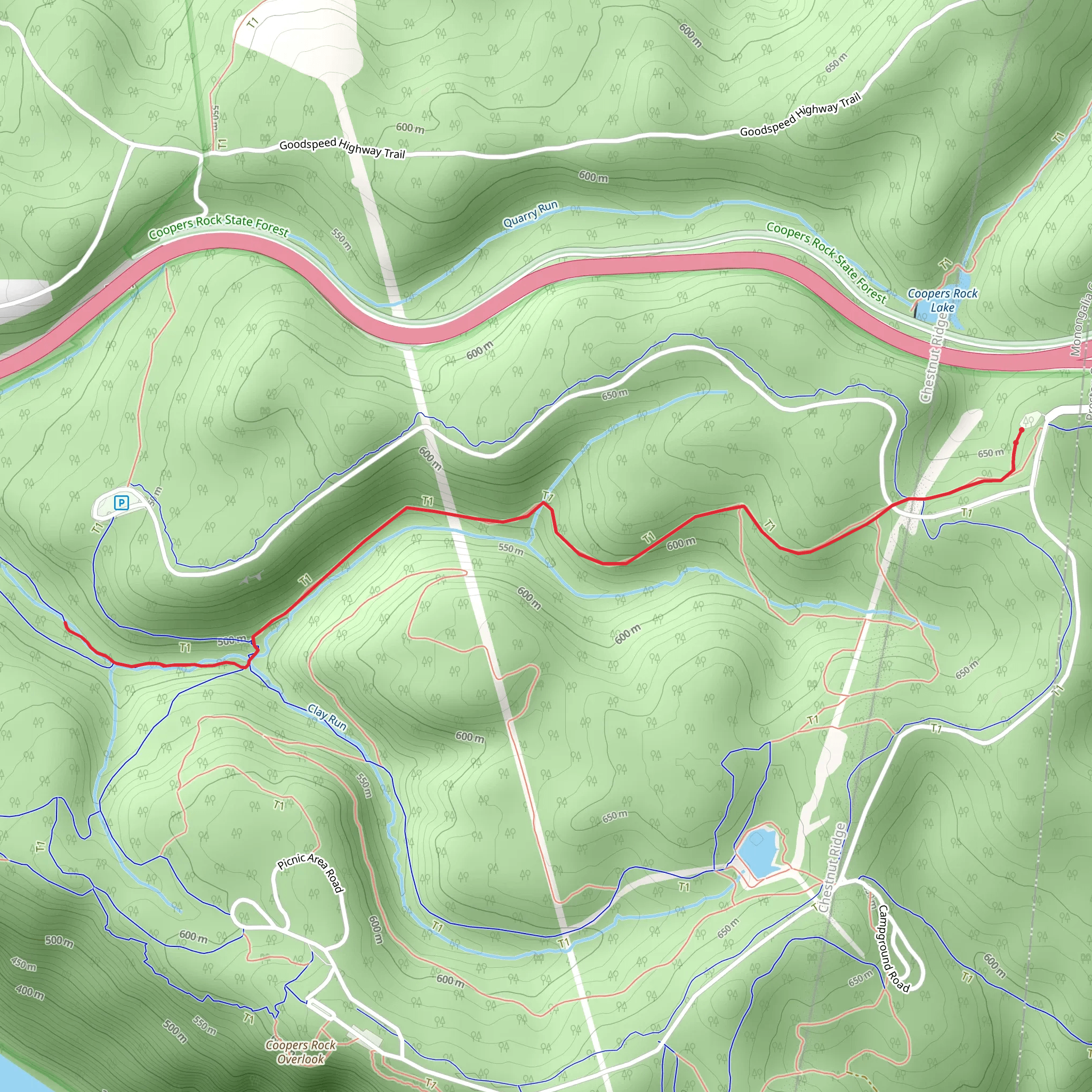 Advanced Ski Trail and Mont Chateau Trail - North Walk mobile static map