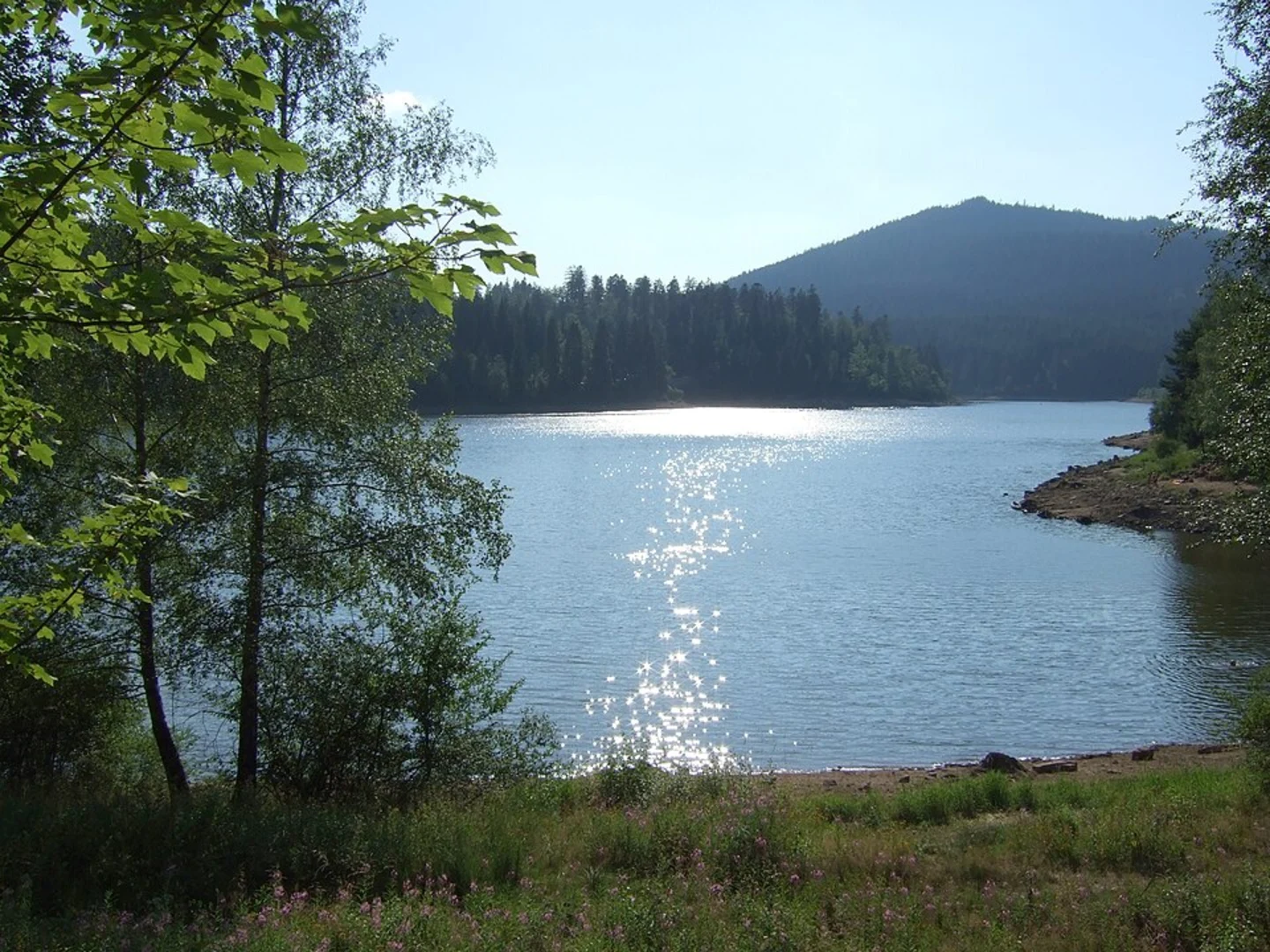 An image depicting the trail Schwarzenbach-Talsperre, Herrenwieser See and Heidenberg Loop and its surrounding area.