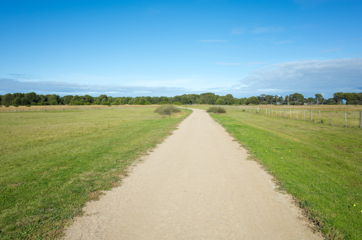 Cheetham Wetlands Walk