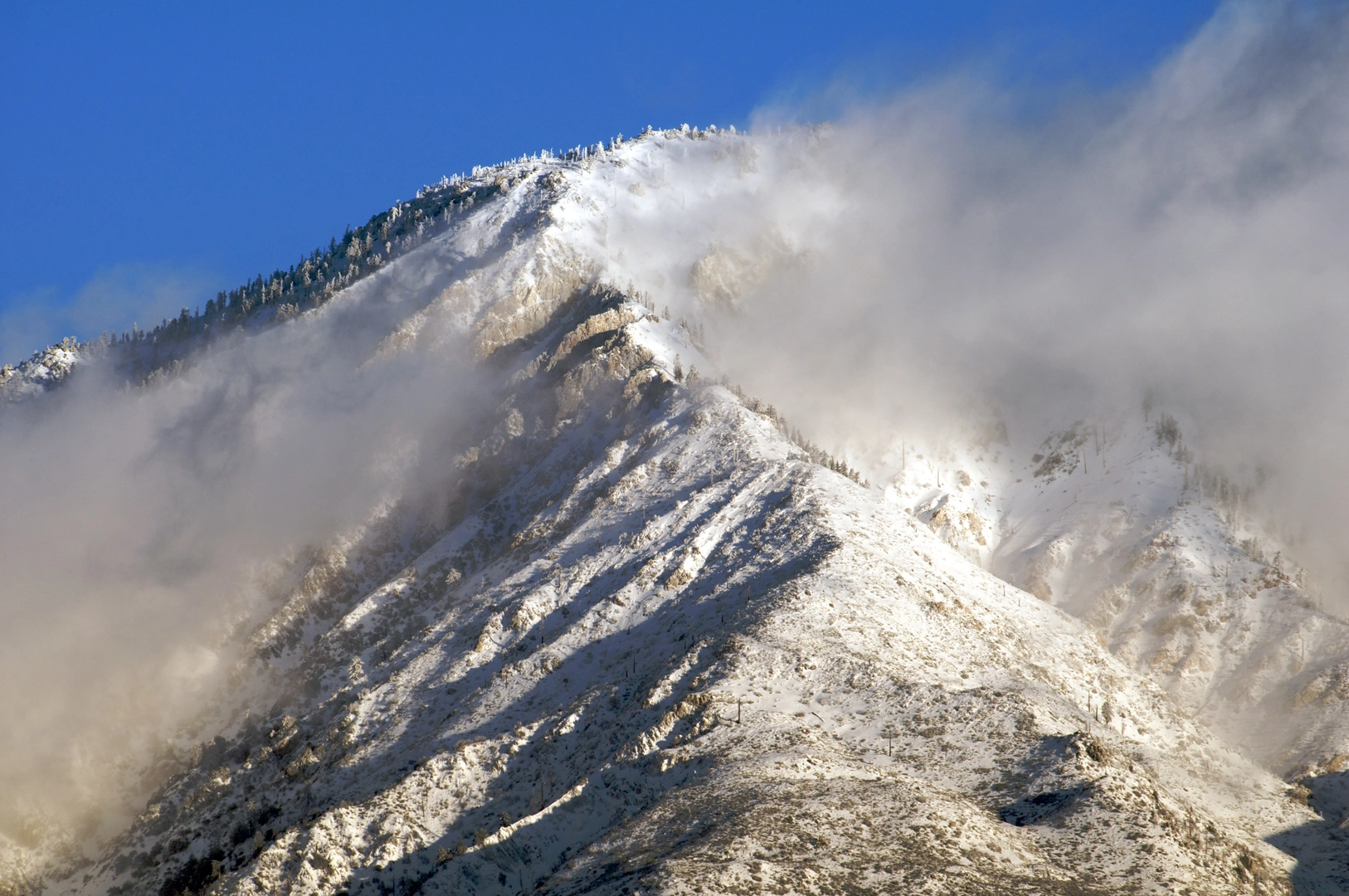 An image depicting the trail Cucamonga Peak and Etiwanda Peak via Icehouse Canyon Trail and its surrounding area.