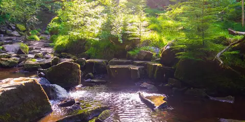 An image depicting the trail Mallyan Spout and Beck Hole from Goathland and its surrounding area.