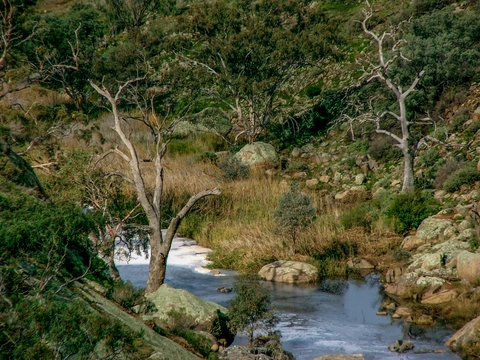 Mannum Waterfalls Walking Trail