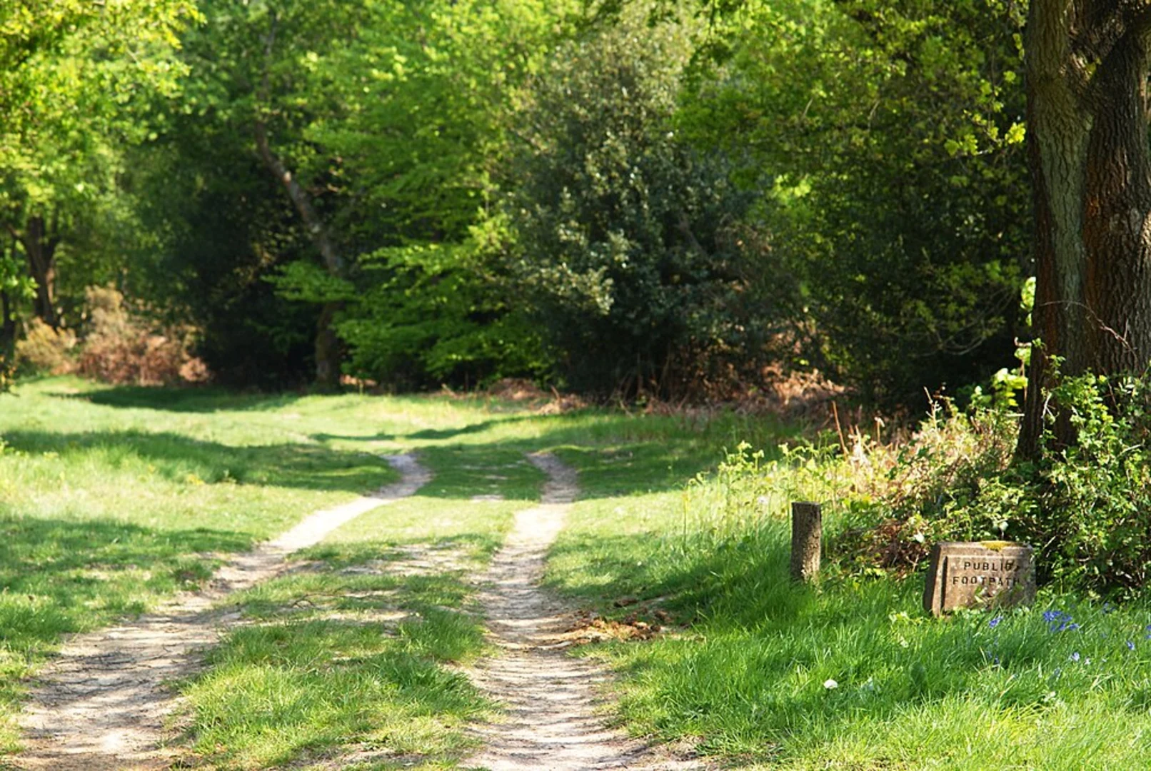 An image depicting the trail Deer Park, York Gate Plantation and Chevin Forest Park Loop and its surrounding area.