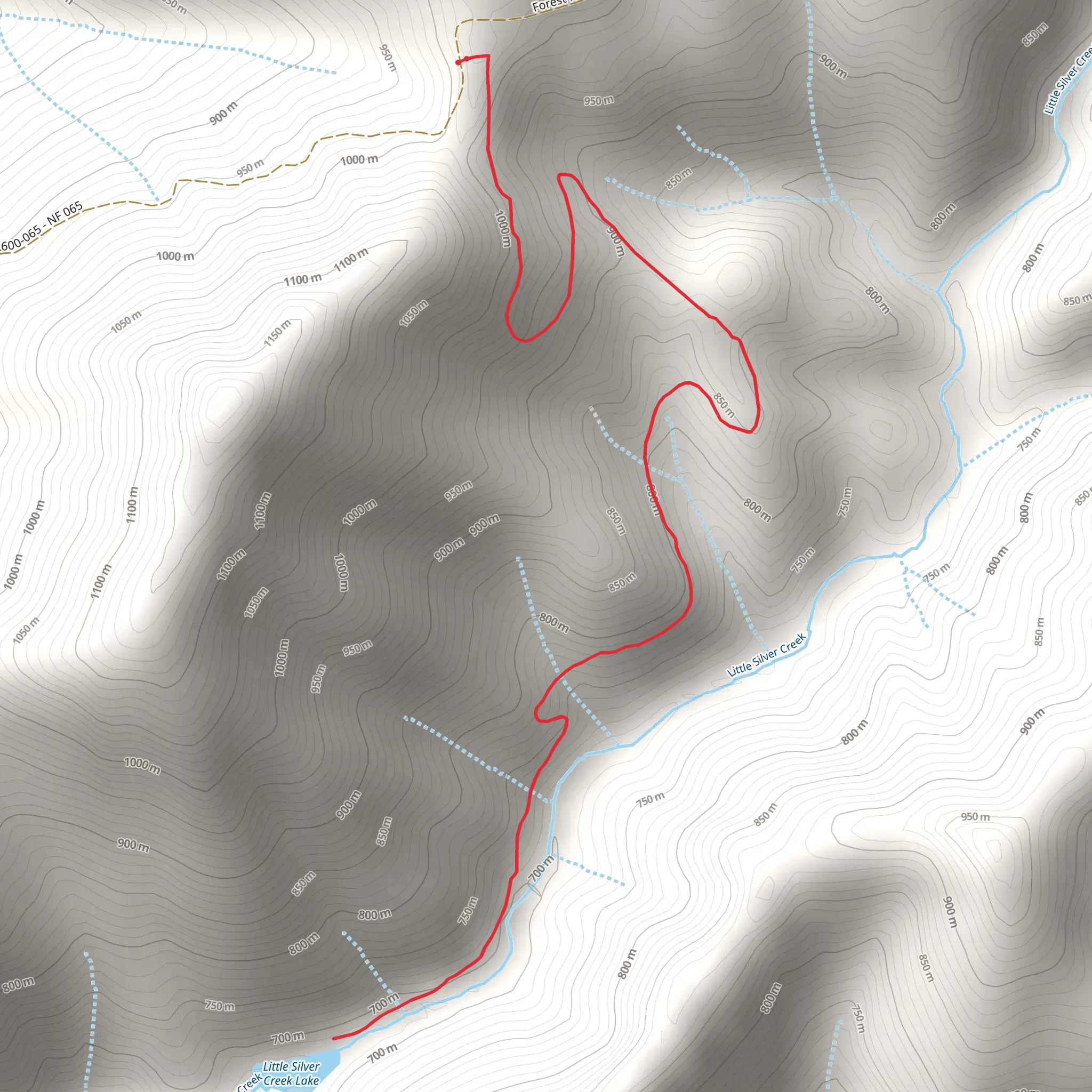 Little Silver Lake Trail mobile static map