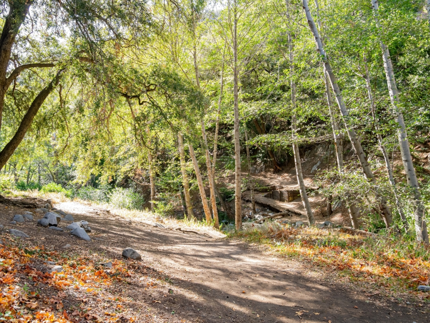 An image depicting the trail Gabrielino National Recreation Trail and its surrounding area.