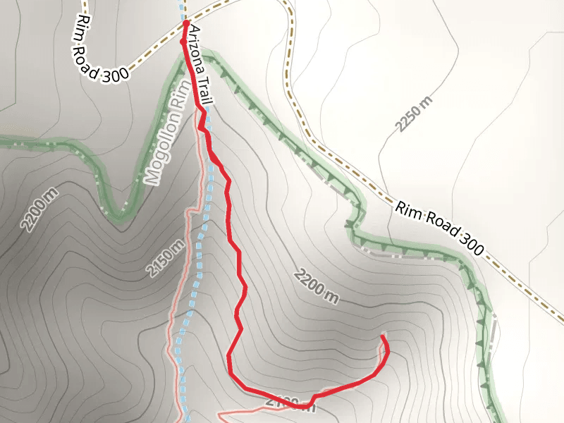 Railroad Tunnel from Rim Road 300