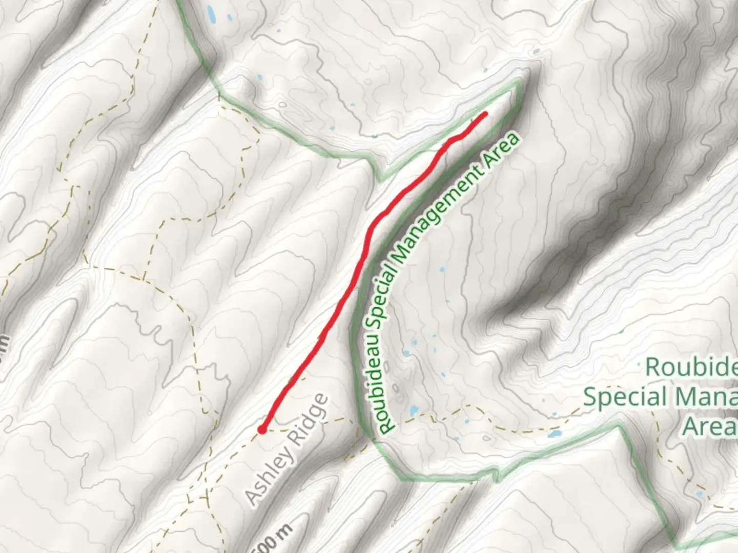 An image depicting the trail Ashley Trail and its surrounding area.