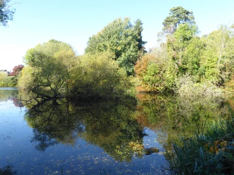 An image depicting the trail Mereworth Woods and Ryarsh Wood via Lord's Walk and Windmill Hill and its surrounding area.