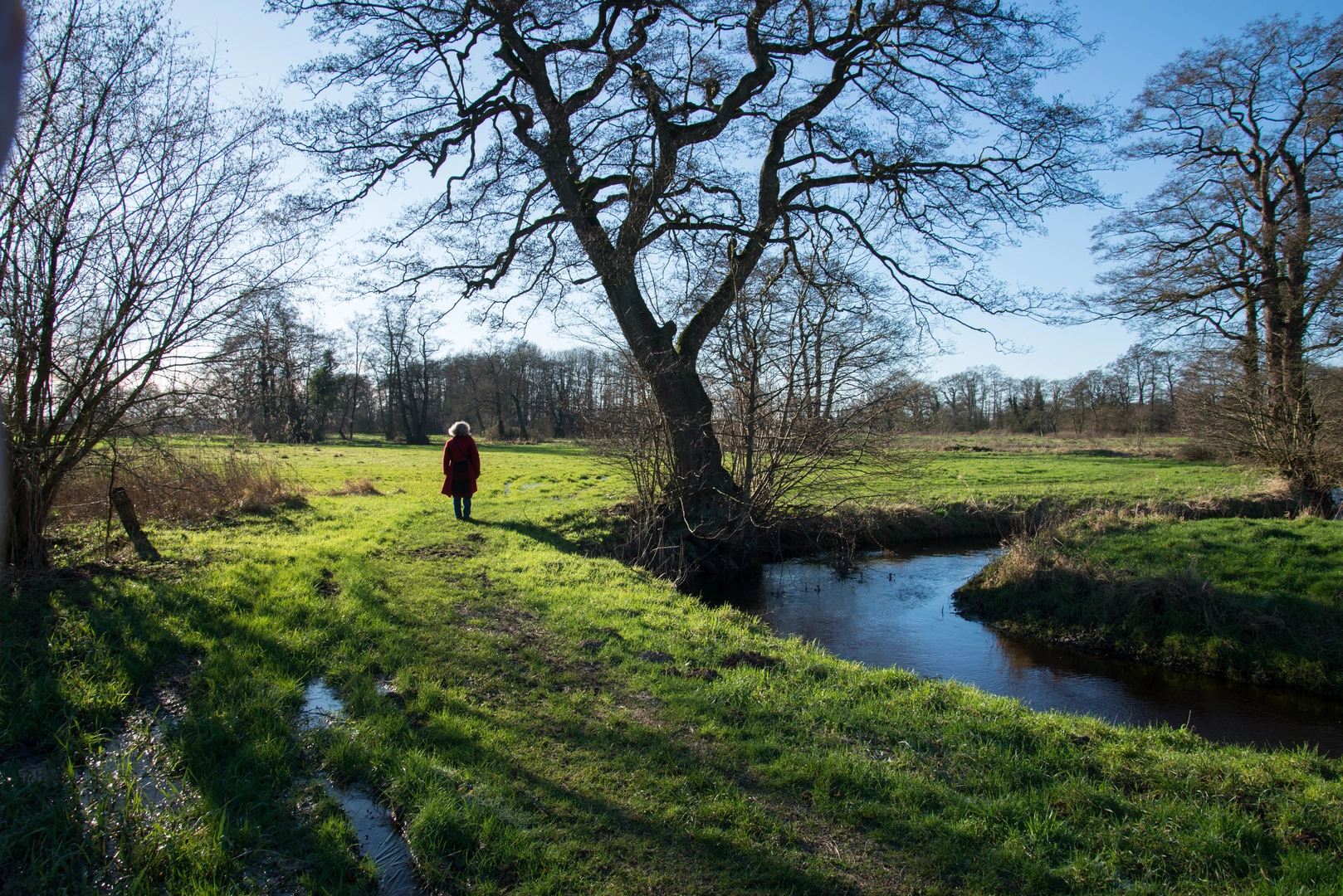 An image depicting the trail Boswachterij Hooghalen and Amerdiep via Melkwegpad and its surrounding area.