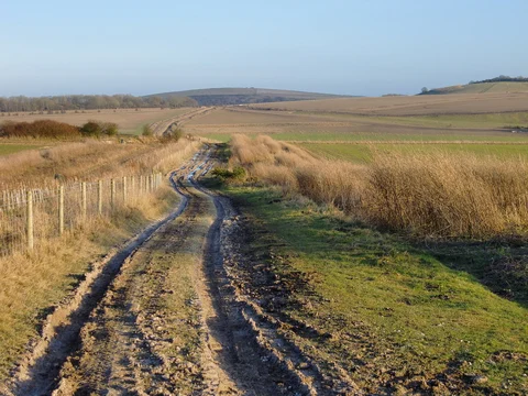 An image depicting the trail Amberley Museum and North Stoke Loop and its surrounding area.