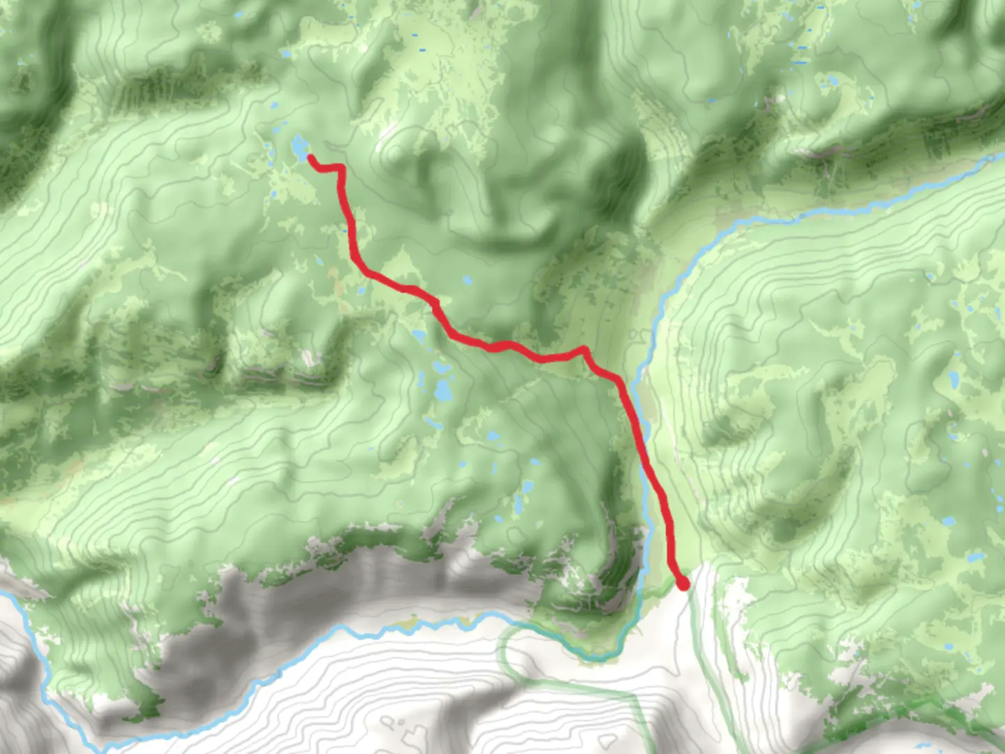 An image depicting the trail Horseshoe Lake via Nichois Creek Trail and its surrounding area.