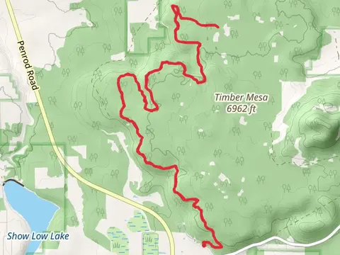 Porter Mountain Scenic Vista via Timber Mesa Trail