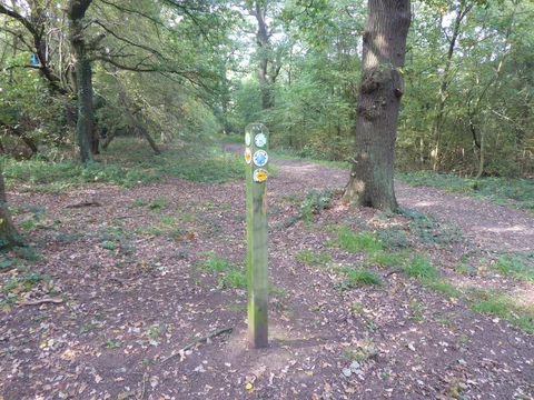 An image depicting the trail Yardley Hill Loop and its surrounding area.