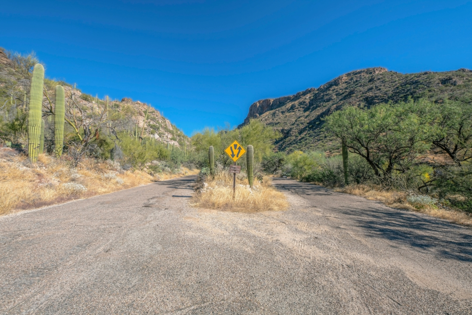 An image depicting the trail Window Peak and Esperero Trail and its surrounding area.