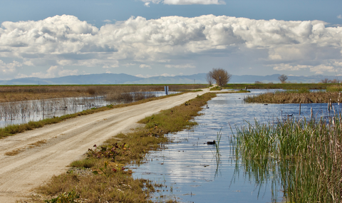 Meadowlark Loop Trail
