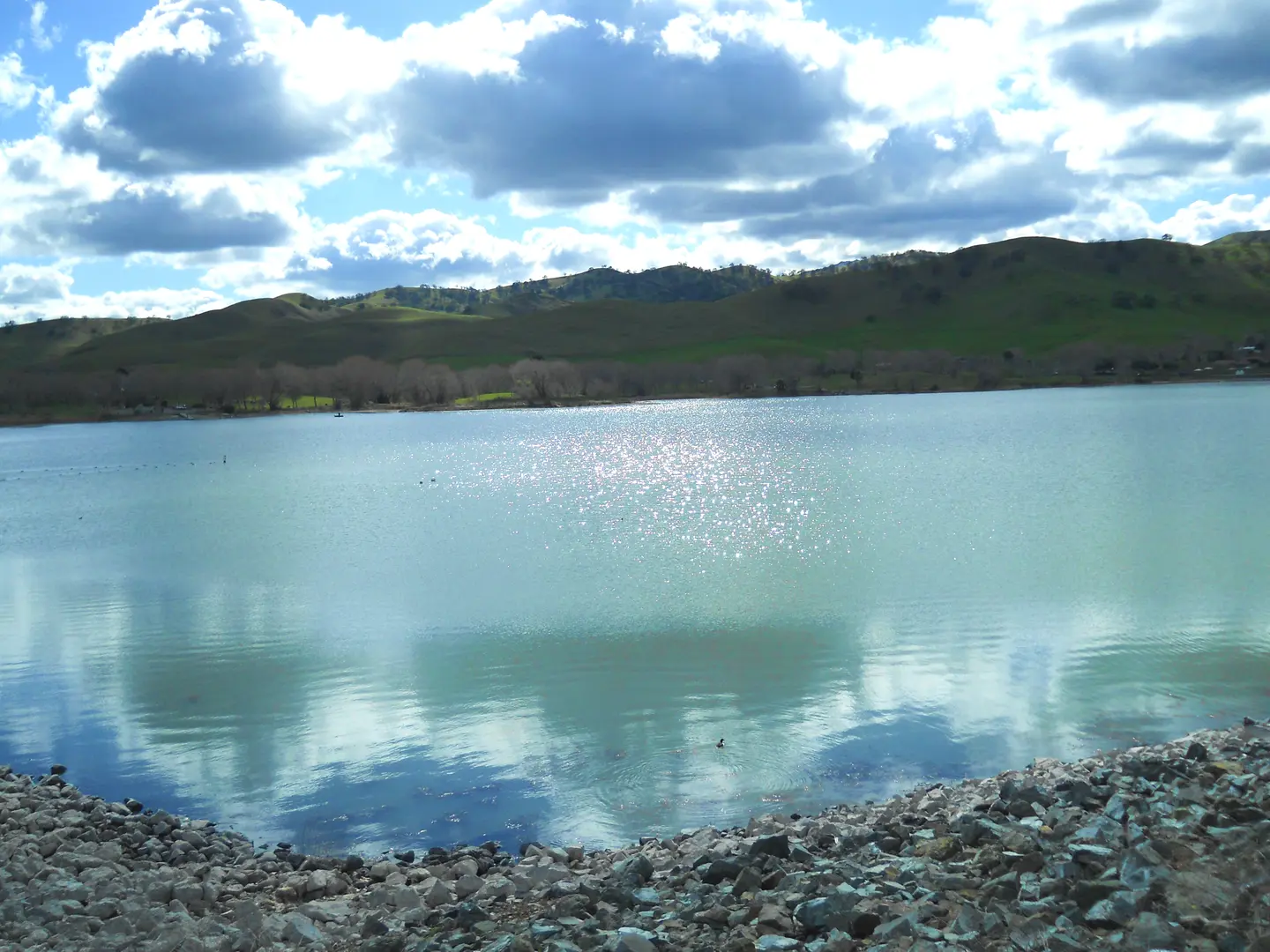 An image depicting the trail Contra Loma Reservoir and West Shore Trail and its surrounding area.