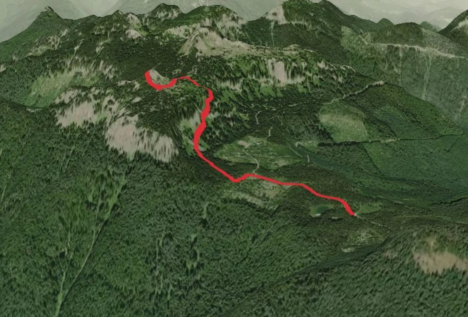 An image depicting the trail Cispus Lookout Trail and its surrounding area.
