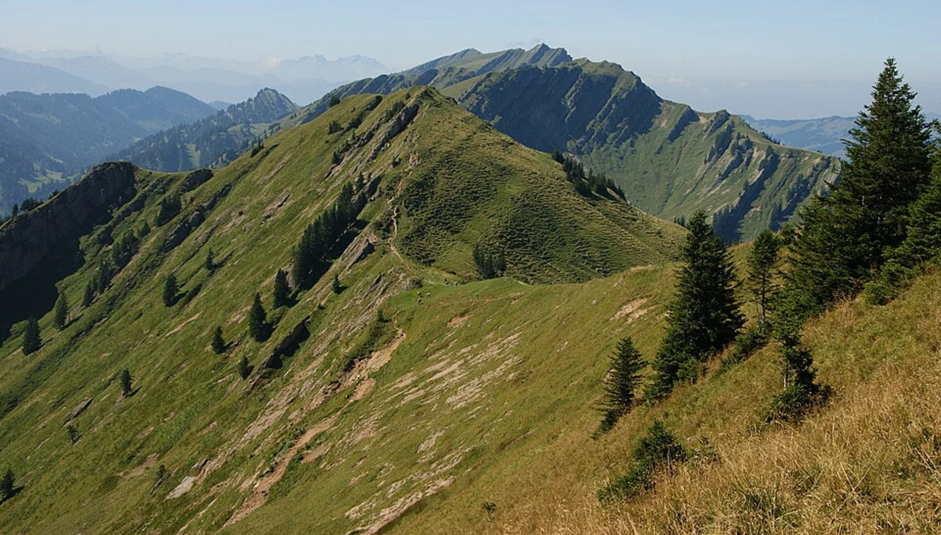 An image depicting the trail Hochgrat and Gütlealpe Loop via Panoramaweg and its surrounding area.