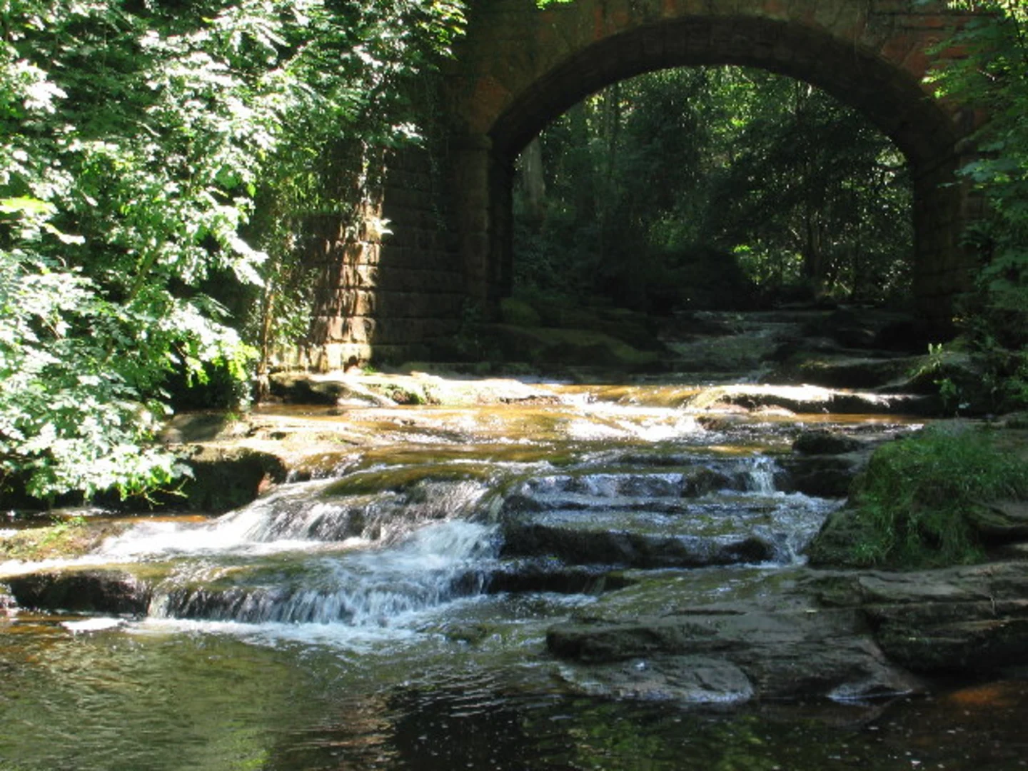 An image depicting the trail May Beck Walk and its surrounding area.