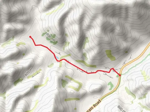 Dromedary Hill Track