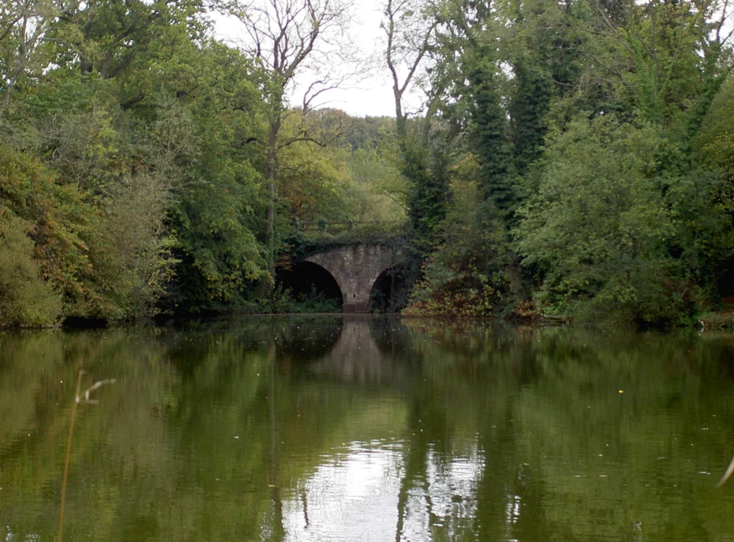An image depicting the trail CT Hill Walk and its surrounding area.