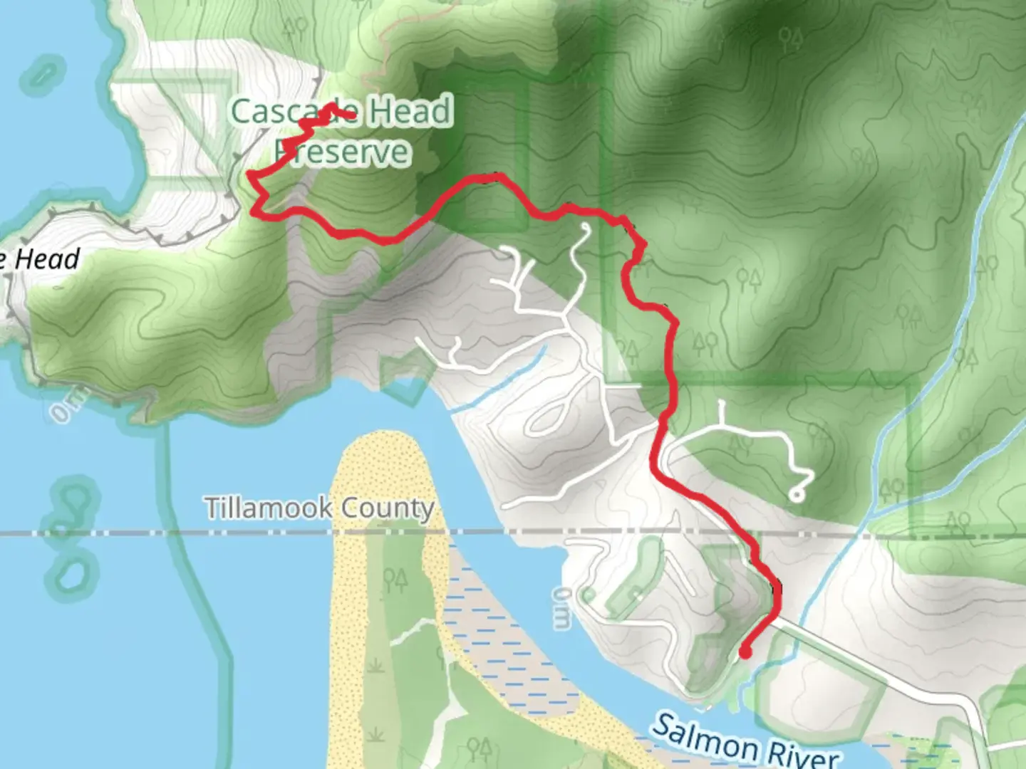 An image depicting the trail Teal Creek via Cascade Head Trail and its surrounding area.