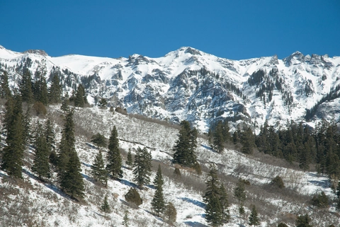 An image depicting the trail Portland Trail and its surrounding area.