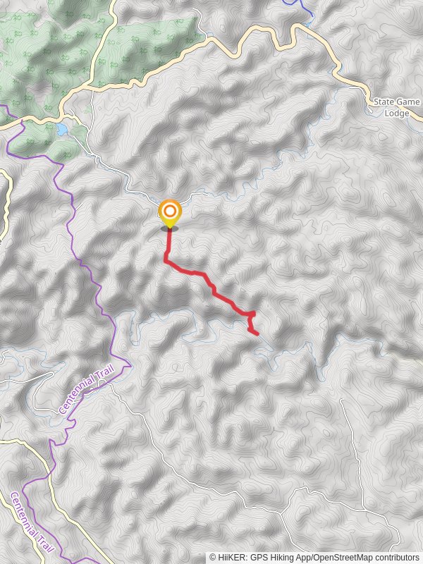 Calkins Draw Trail and French Creek and Mount Coolidge Trail