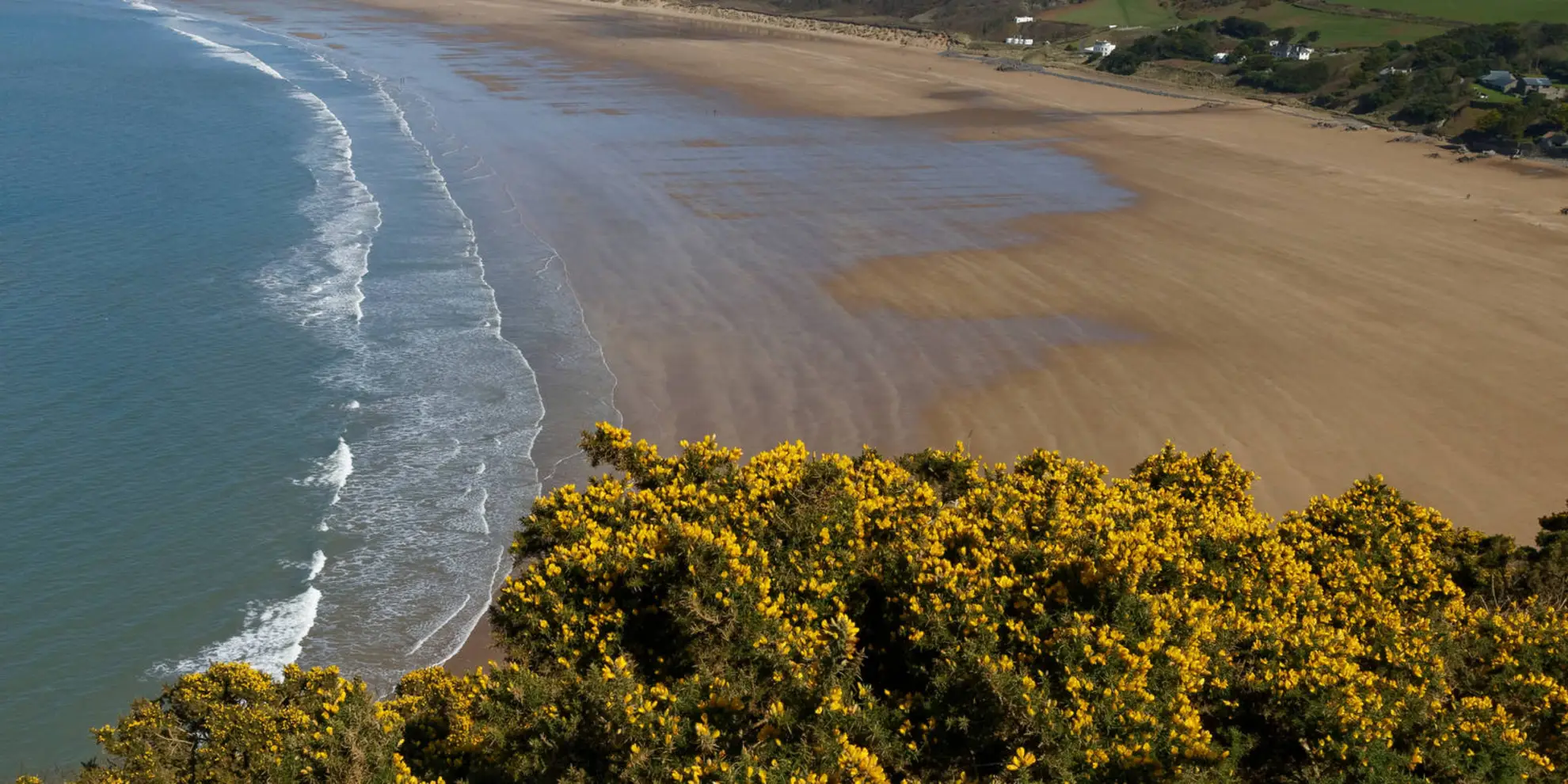 An image depicting the trail Baggy Point to Woolacombe Circular Walk and its surrounding area.