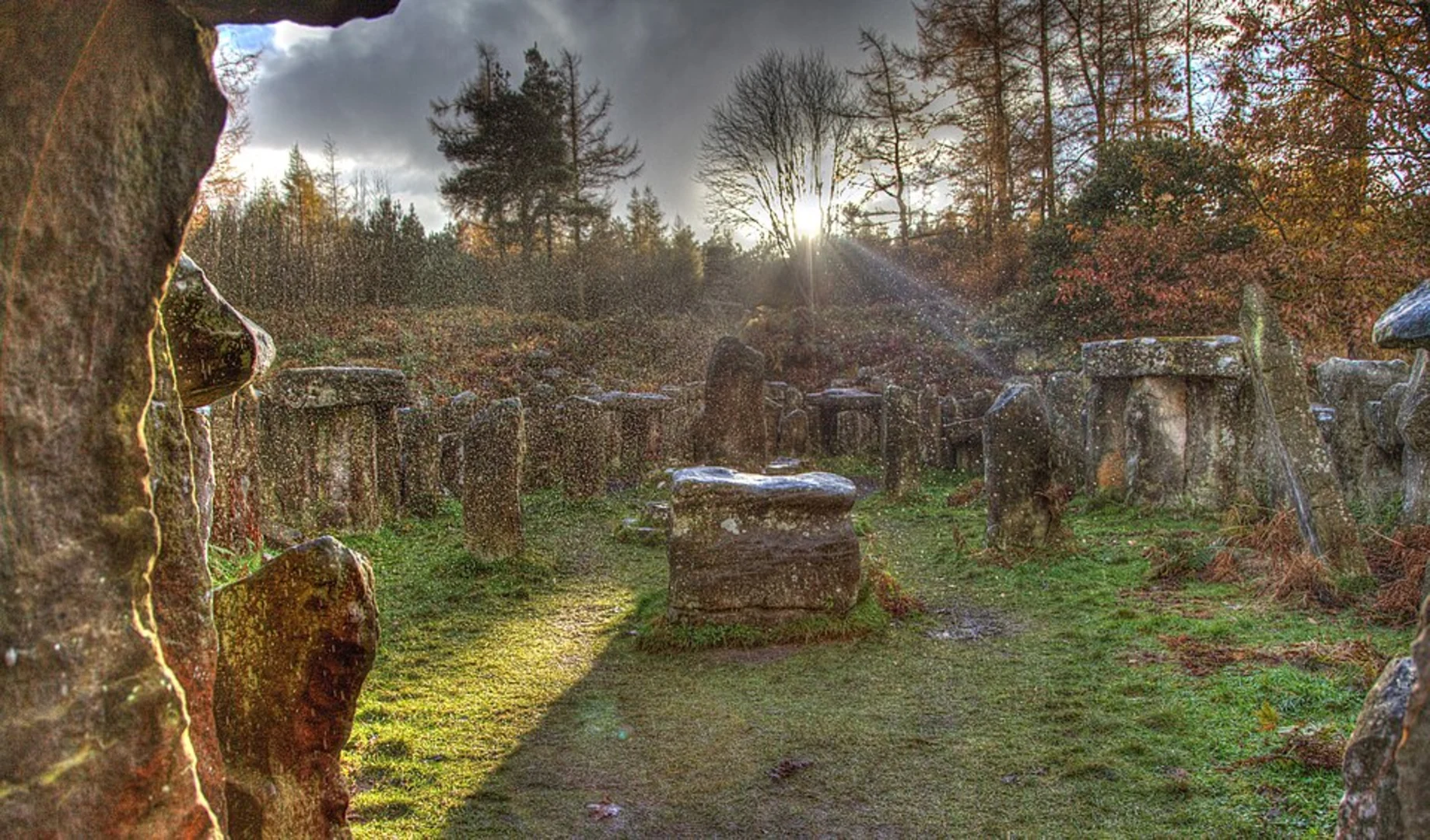An image depicting the trail Druid's Temple and Knowle Wood Loop and its surrounding area.