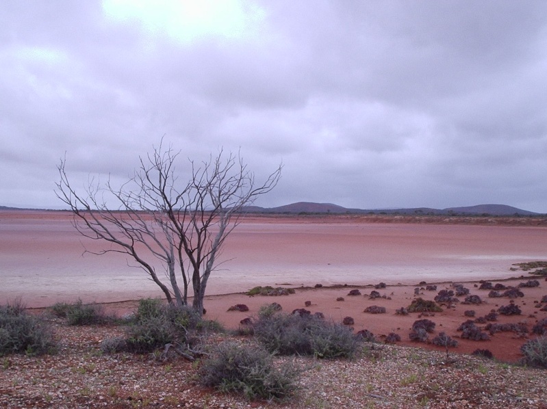 An image depicting the trail Lake Gairdner National Park and its surrounding area.