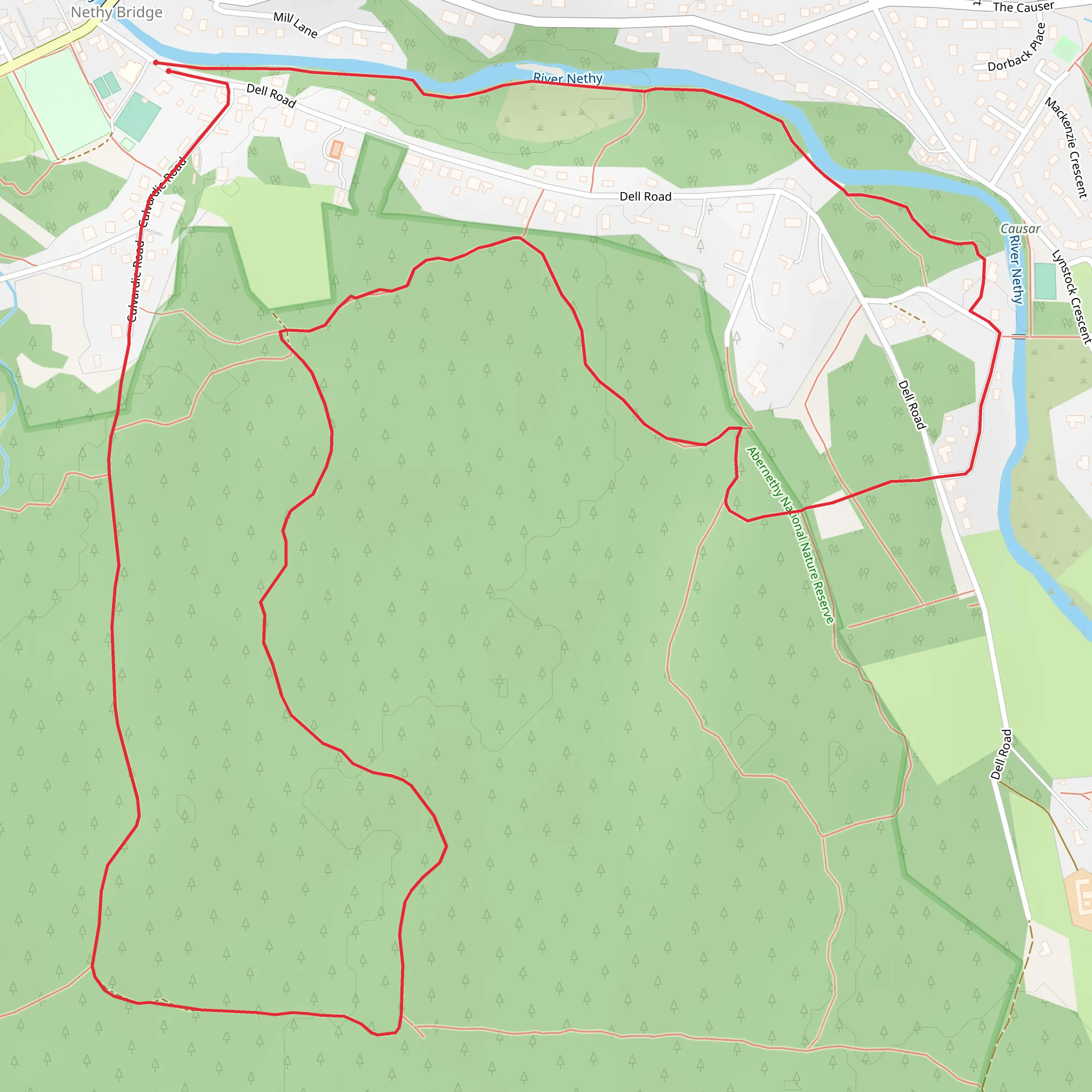 Nethy Bridge Path - King's Road mobile static map