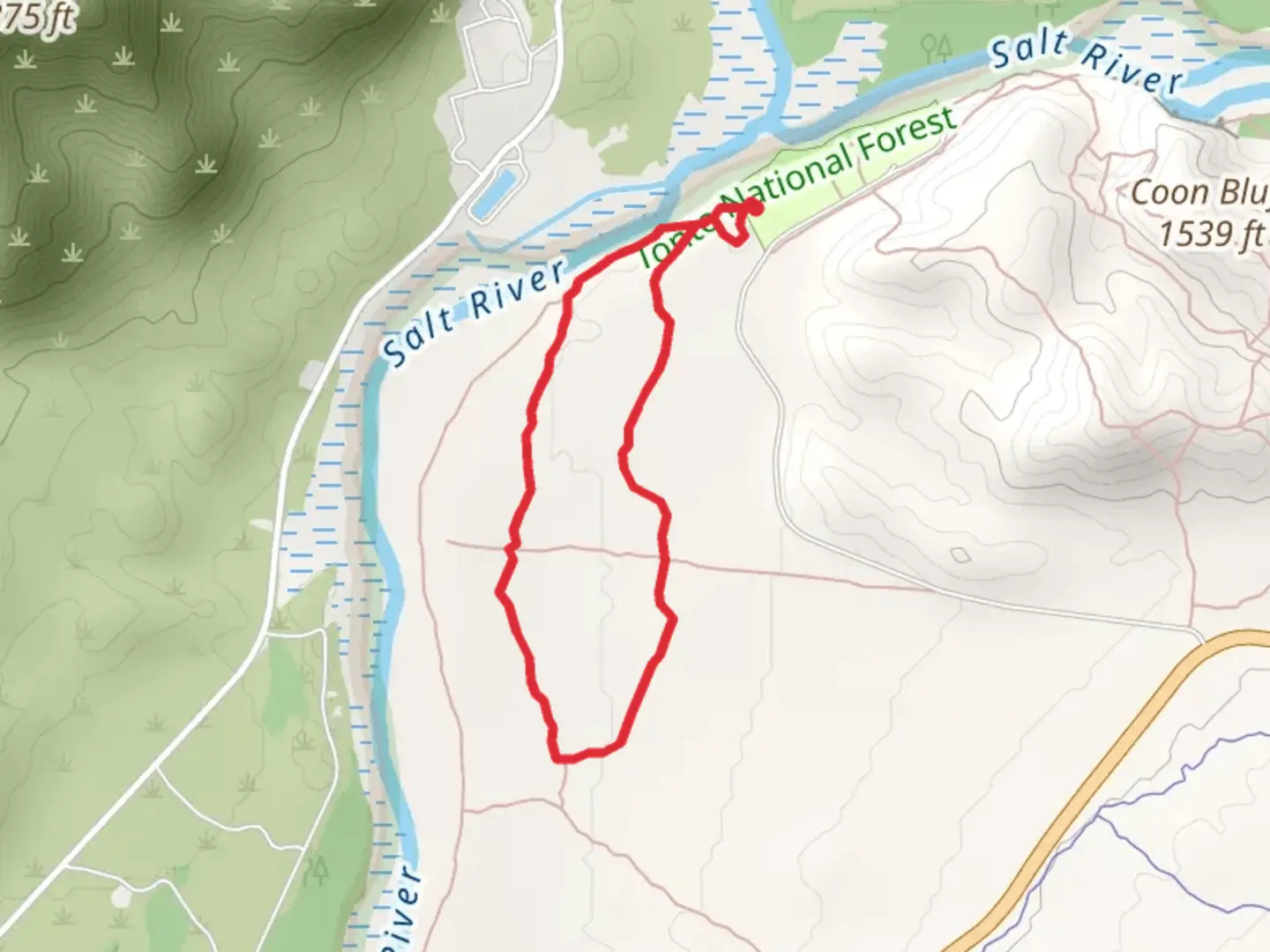 An image depicting the trail Lower Salt River Nature Trail and its surrounding area.