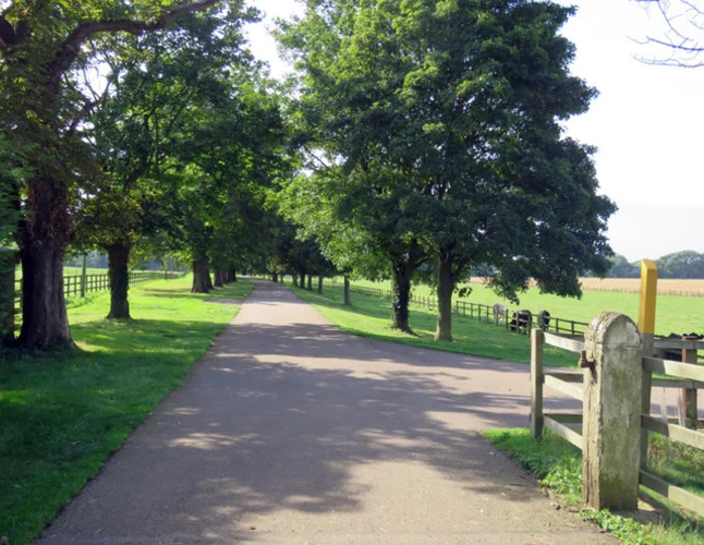 Great Waltham to Hartford End Circular Path