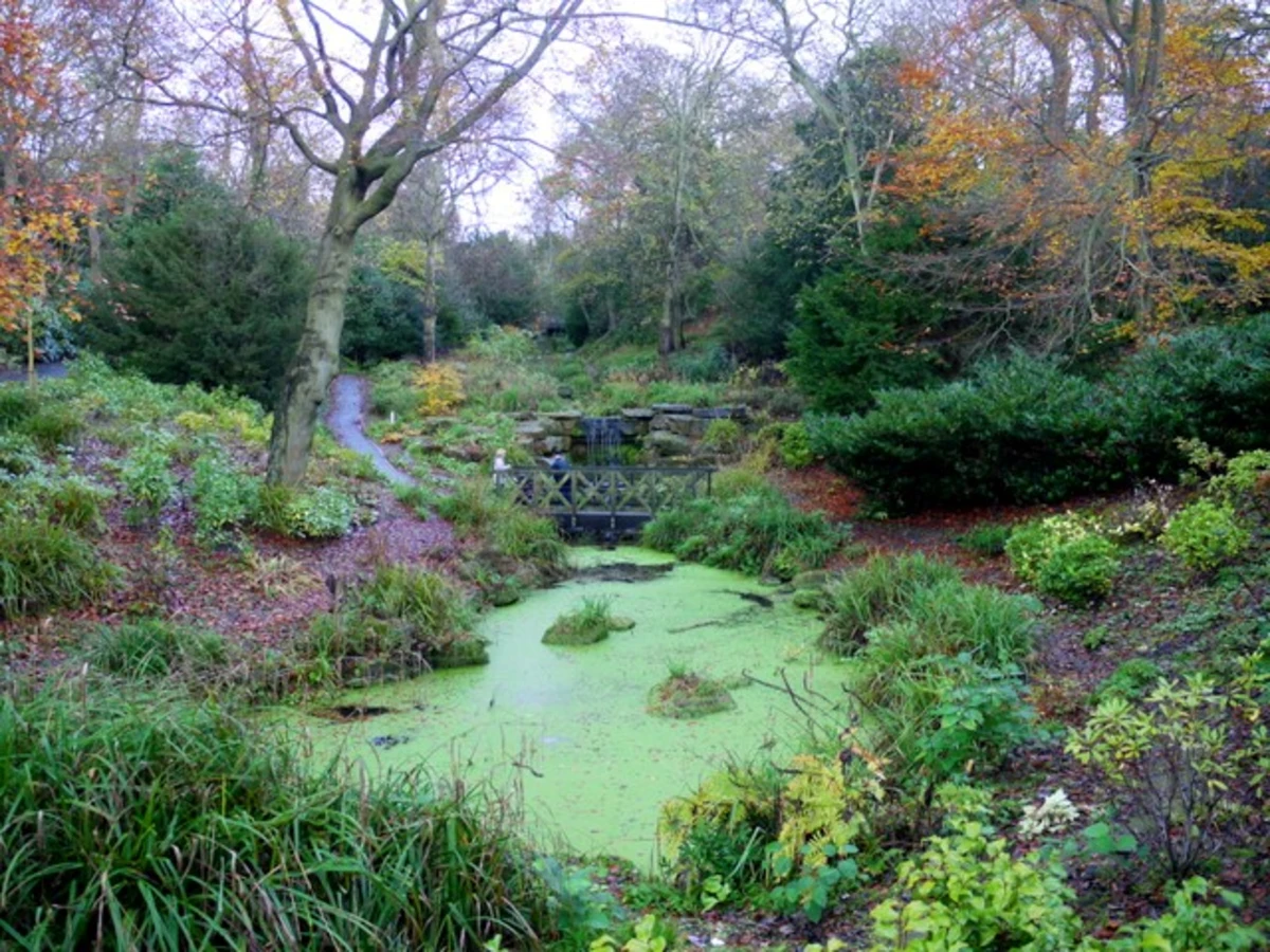 Saltwell Park and Lake Loop
