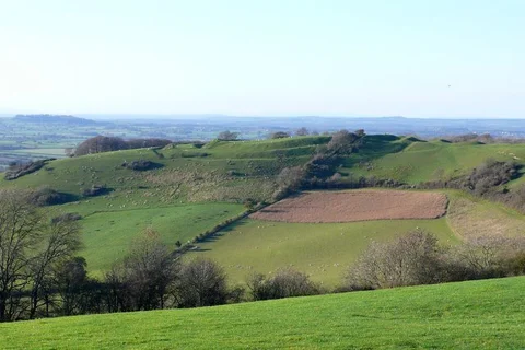 An image depicting the trail Bulbarrow Hill and its surrounding area.