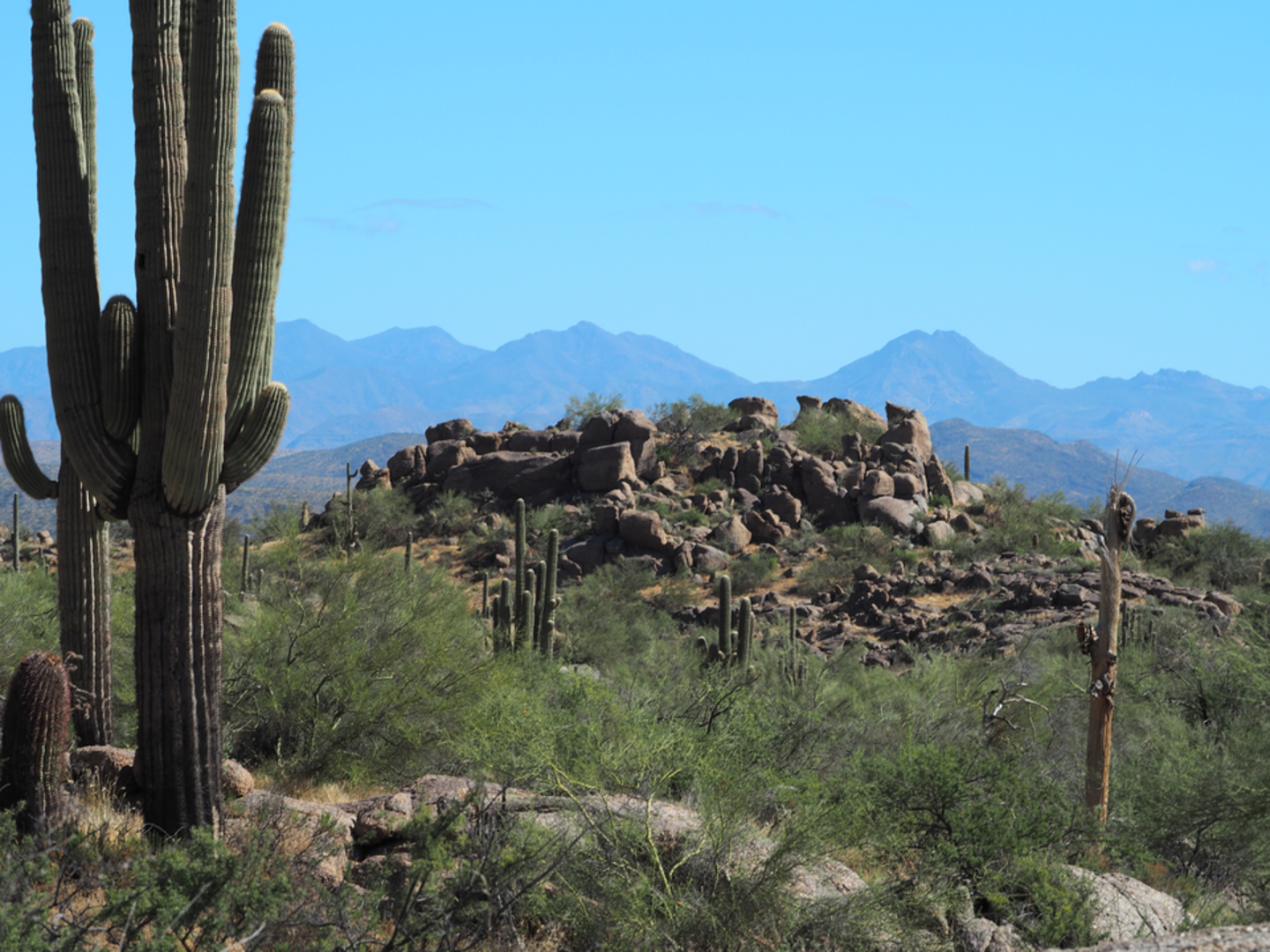 An image depicting the trail White Rock Spring via Granite Mountain Trail and its surrounding area.