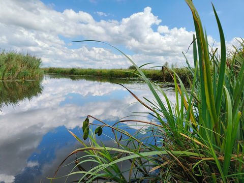 Centrum to Noordwijk via Roderwolderdijk and Groningerweg