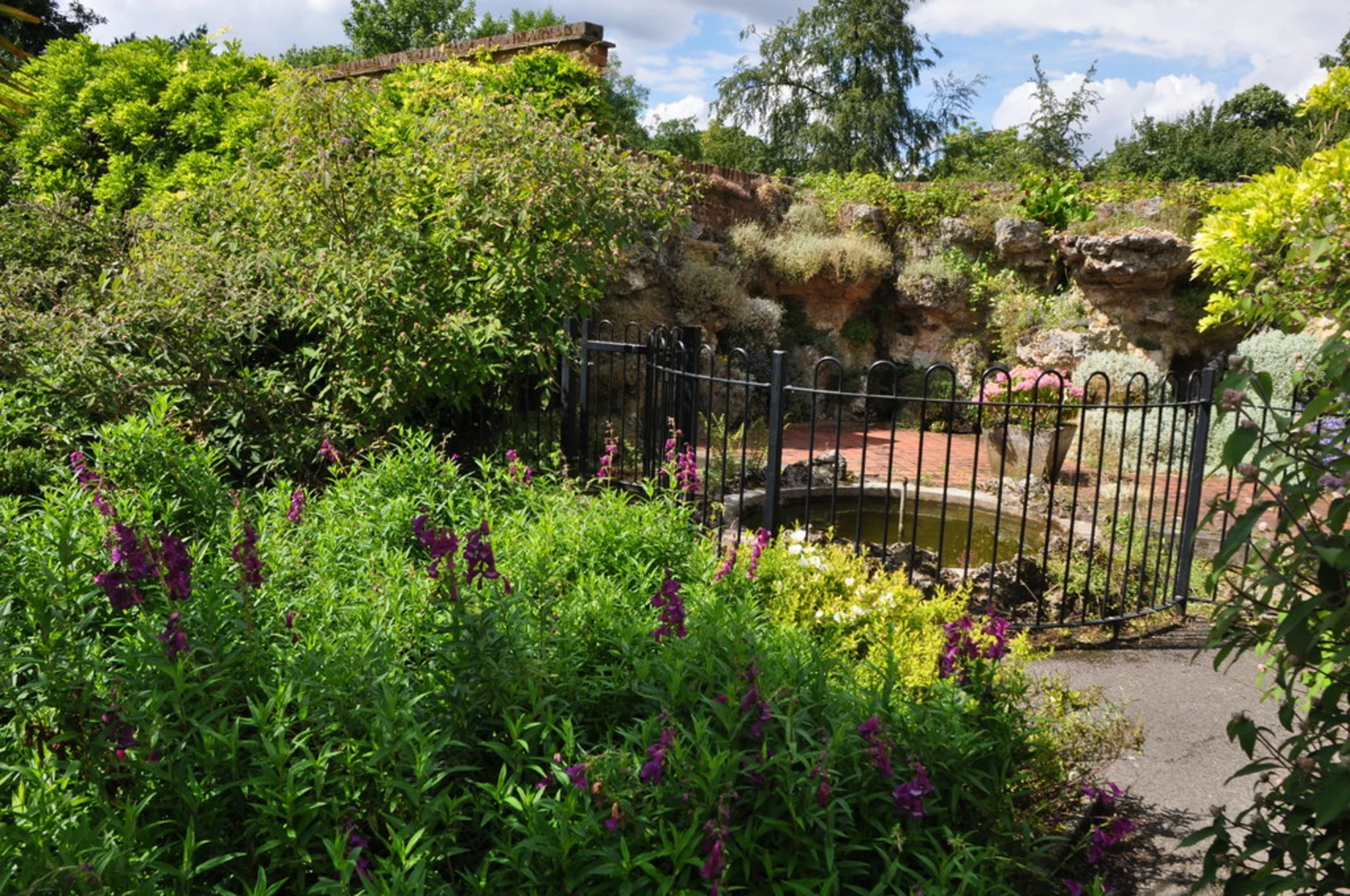 An image depicting the trail Woodcote Park Golf Club and Oaks Park Loop and its surrounding area.