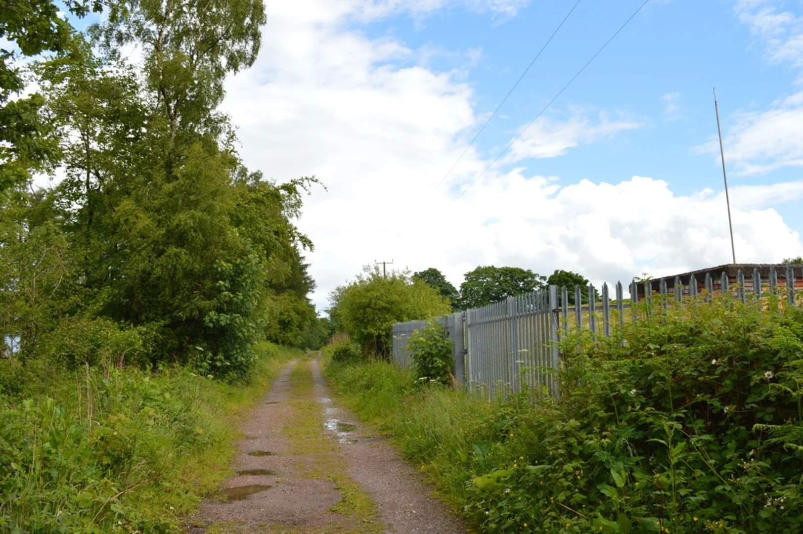 An image depicting the trail Harley Thorns, Swynnerton and Beech Loop and its surrounding area.