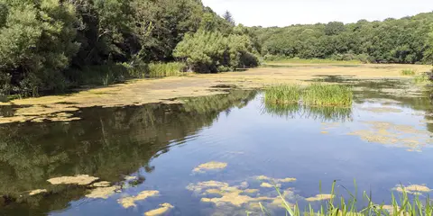 An image depicting the trail South Landsker Loop via Landsker Borderlands Trail and its surrounding area.