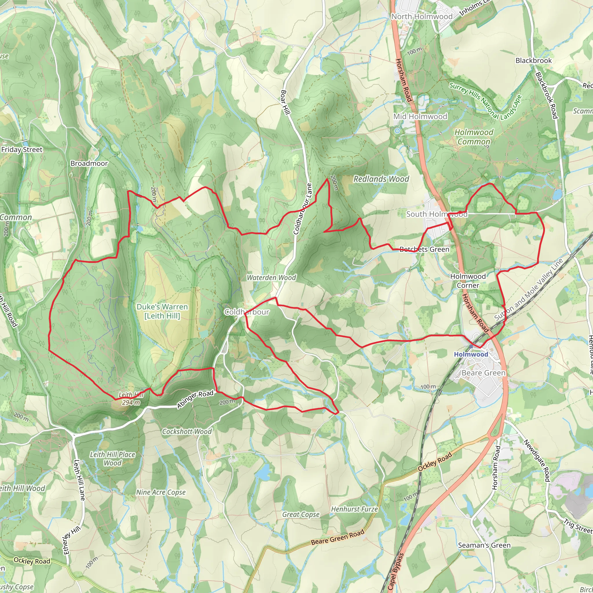 Redlands Wood, Leith Hill, Springace Copse and Hog Orchard Copse Loop mobile static map