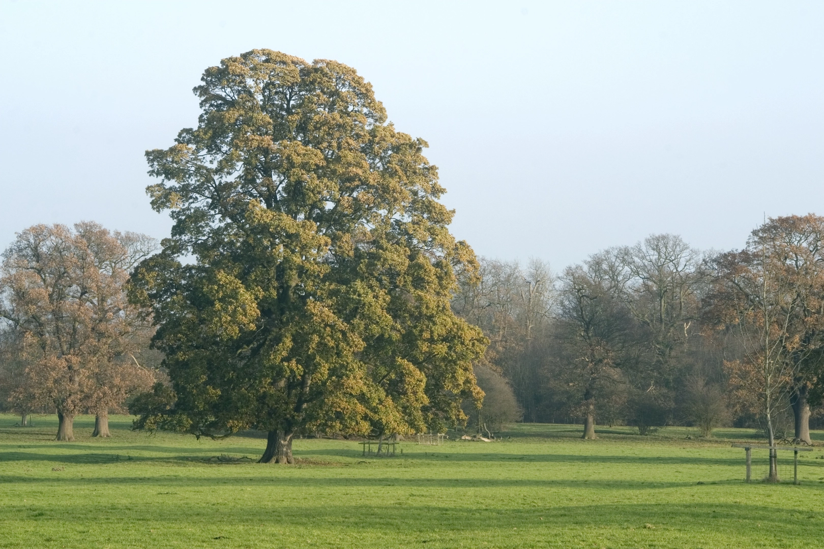 An image depicting the trail Kingfisher Way and its surrounding area.